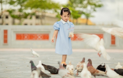 Nơi ấy BÌNH YÊN Nơi ấy là ECOGARDEN